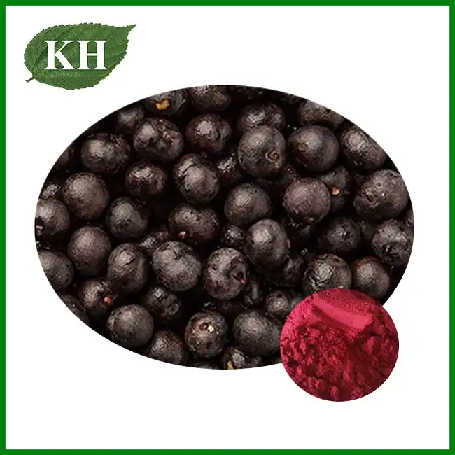 Acai Berry Freeze Dried Powder — ZAC Biotech Co., Ltd.